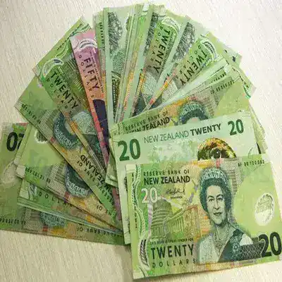 Fake New Zealand Dollar Bills