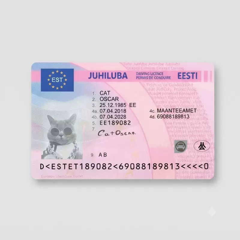 Estonia Fake Driver License