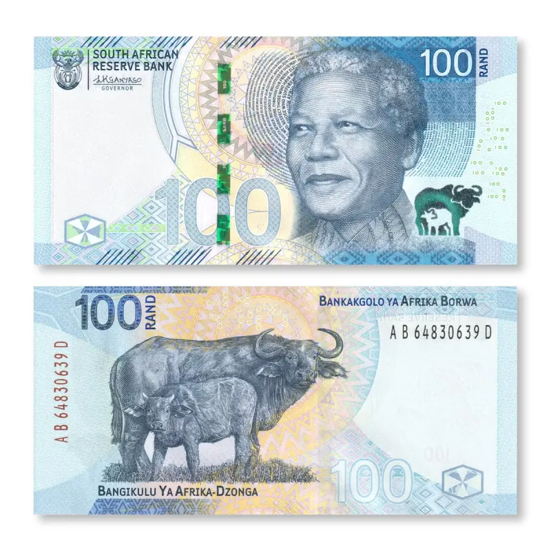 Fake R100 South African Rand Banknotes